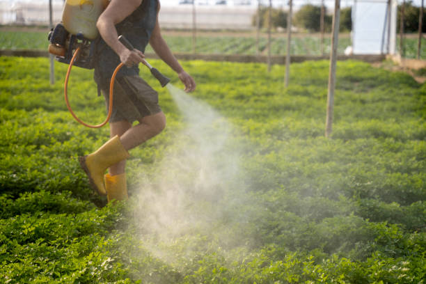 Best Commercial Pest Control Services  in Steamboat Springs, CO