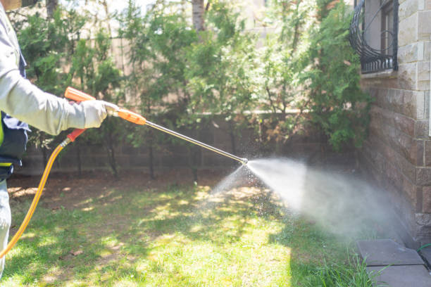 Best Residential Pest Control  in Steamboat Springs, CO