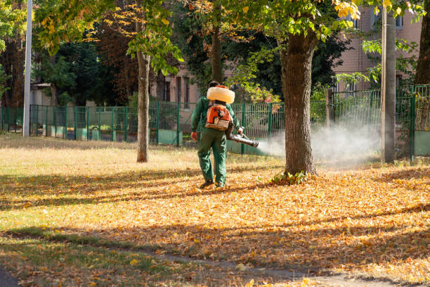 Trusted Steamboat Springs, CO Pest Control Experts